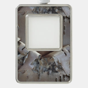 Lockige Birkenrinde Rustikal Rahmen-Ornament Silber