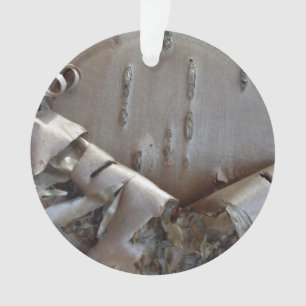 Lockige Birkenrindenbaum-Rustikalität Ornament