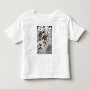 Lodgepole Kiefernkegel im Winter in Yellowstone Kleinkind T-shirt