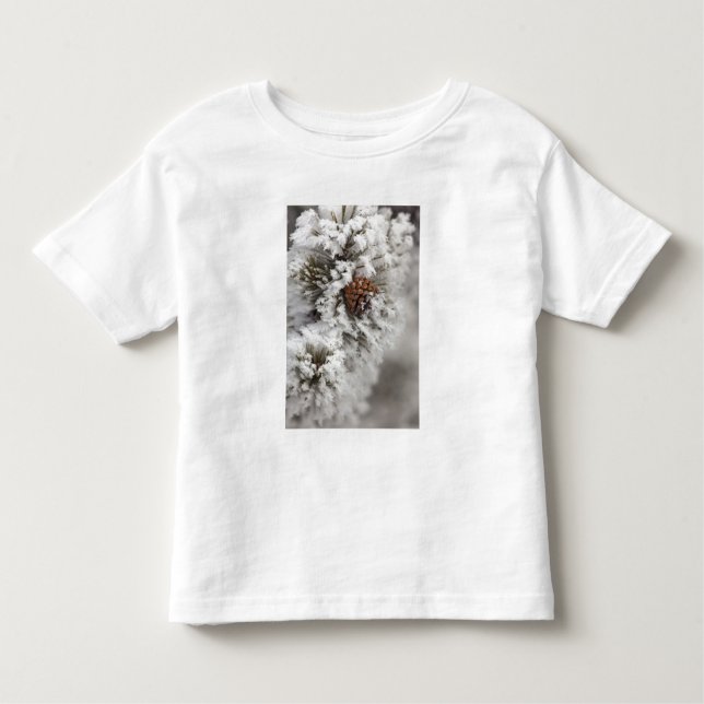 Lodgepole Pine Kegel im Winter in Yellowstone Kleinkind T-shirt (Vorderseite)