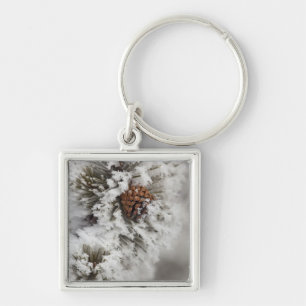 Lodgepole Pine Kegel im Winter in Yellowstone Schlüsselanhänger