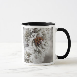 Lodgepole Pine Kegel im Winter in Yellowstone Tasse