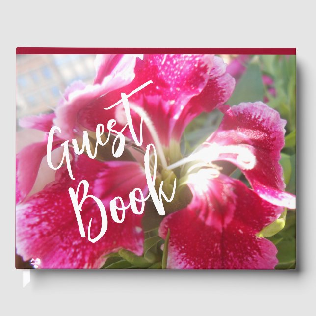 Lodovica Gästebuch (Vorderseite)