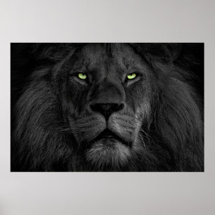 L'oeil du lion poster