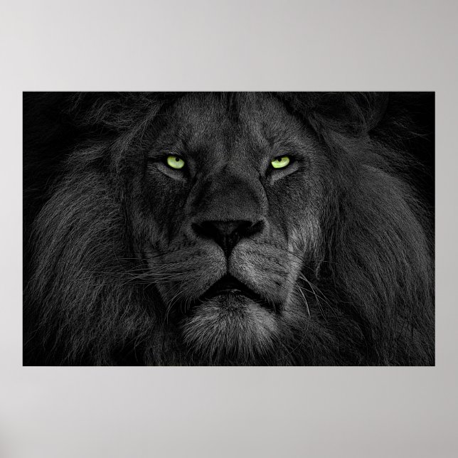 L'oeil du lion poster (Vorne)