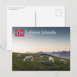 Lofoten Inseln Norwegen Postcard Postkarte