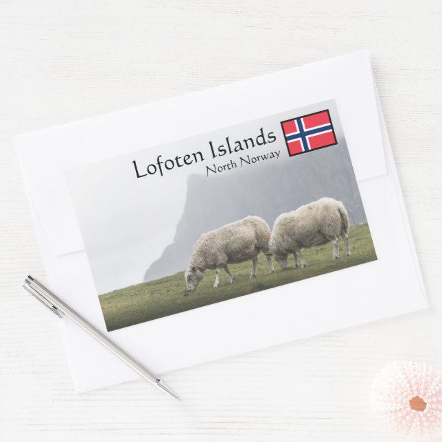 Lofoten Islands Sheep Rechteckiger Aufkleber (Umschlag)