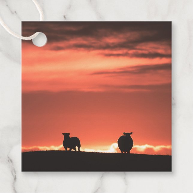 Lofoten Islands Sunset Sheep Nature Foto Geschenkanhänger (Vorderseite)