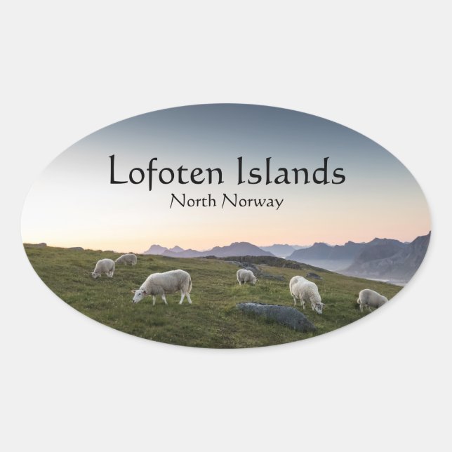 Lofoten Norwegen Sheep Ovaler Aufkleber (Vorderseite)