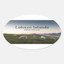 Lofoten Norwegen Sheep Ovaler Aufkleber