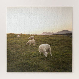 Lofoten Sheep Nature Foto Puzzle
