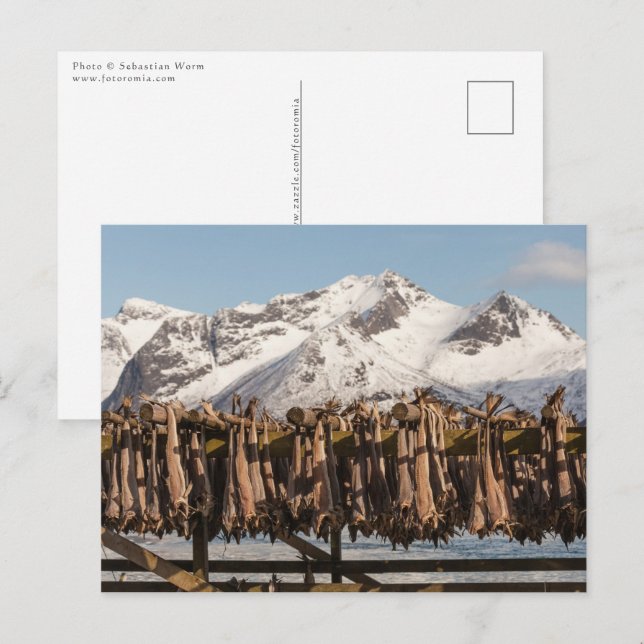 Lofoten Stockfish Postkarte (Vorne/Hinten)