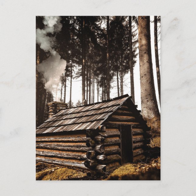 LOG KABIN IN DEN WOODS POSTCARDS POSTKARTE (Vorderseite)