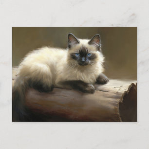 Log Lounger Siamese Kitten Postkarte