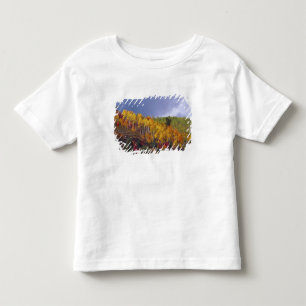Logan Canyon in Utah im Herbst mit vorbei Kleinkind T-shirt