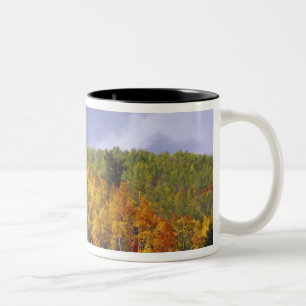 Logan Canyon in Utah im Herbst mit vorbei Zweifarbige Tasse