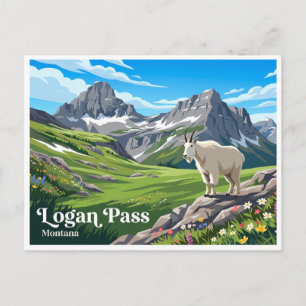 Logan Pass West Gletscher Montana Postkarte