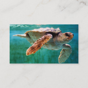 Loggerhead #2 Mini Print Visitenkarte