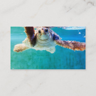 Loggerhead #4 Mini Print Visitenkarte