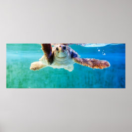 Loggerhead #4 Poster