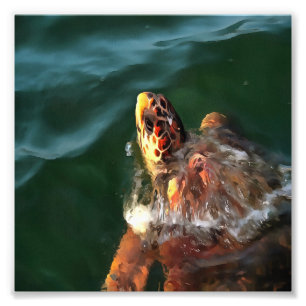 Loggerhead Sea Turtle Artistic Portrait Fotodruck