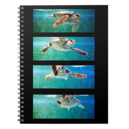 Loggerhead Sea Turtle Study Notebook Notizblock
