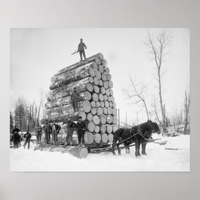 Loggers At Work, 1890. Vintages Foto Poster (Vorne)