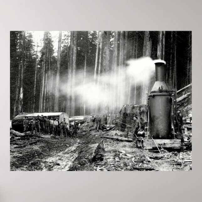 LOGGING MIT STEAM DONKEY c. 1879 Poster (Vorne)