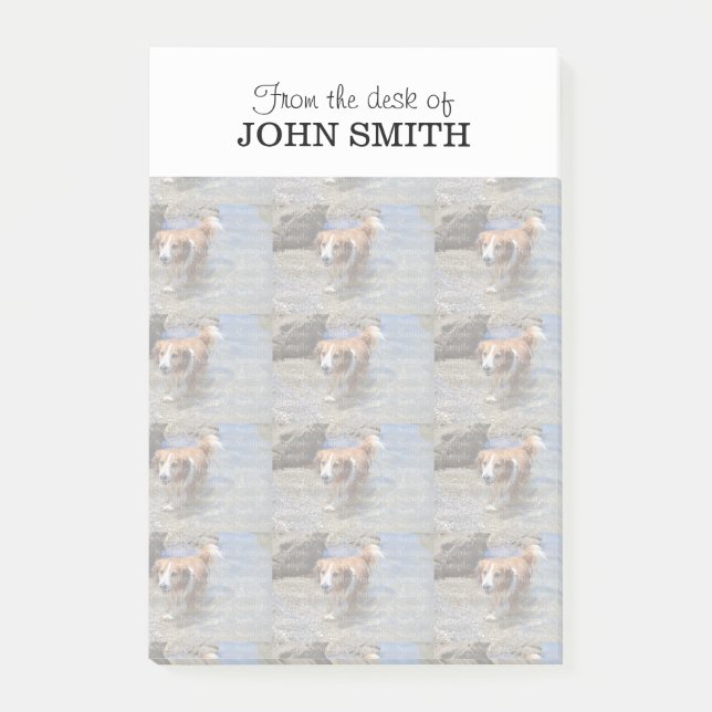 Logo der Foto-Familie Post-it®-Notizen Post-it Klebezettel (Vorderseite)