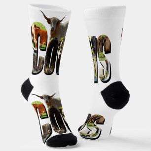 Logo des Küchennamens mit Kühen, Socken