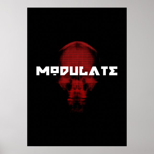 Logo/Skull-Poster Poster (Vorne)