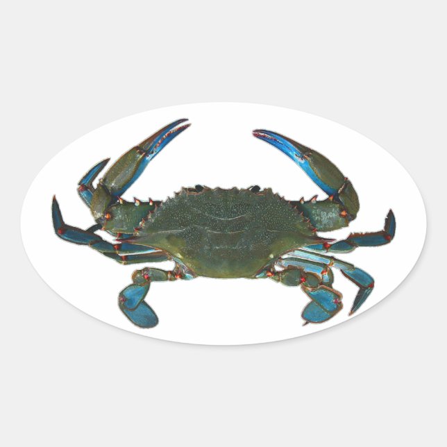 Logo von Atlantic Blue Crab Ovaler Aufkleber (Vorderseite)