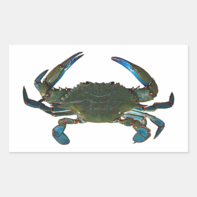 Logo von Atlantic Blue Crab Rechteckiger Aufkleber (Vorderseite)