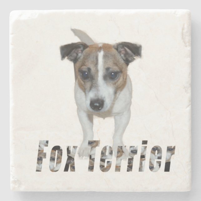 Logo von Fox Terrier und Fox Terrier, Steinuntersetzer (Vorderseite)