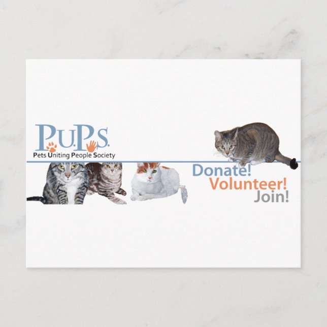 Logo-Werbeartikel mit Katzen Postkarte (Vorderseite)