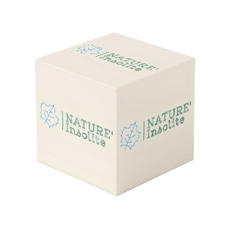 Logo-Würfel 10 cm Würfel