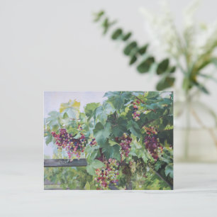 Loire-Tal-Weingut – Französische Traubenmalerei Postkarte