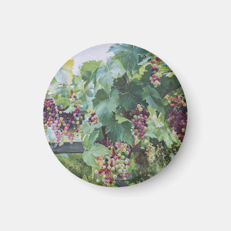 Loire Valley Vineyard – French Grape Painting Magnet