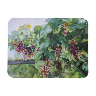 Loire Valley Vineyard – French Grape Painting Magnet