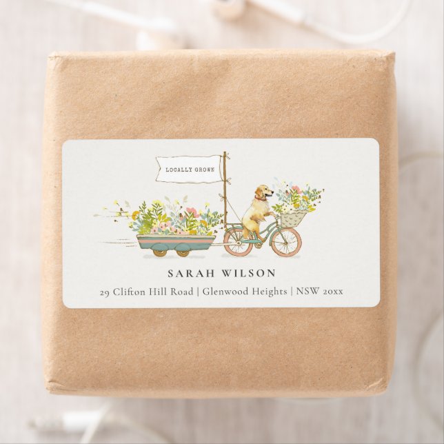 Lokal gezüchtete Golden Retriever Blumenadresse (Insitu)