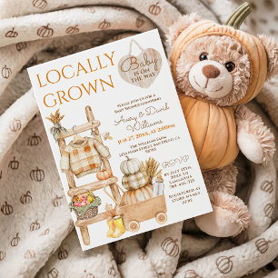 Lokal gezüchtete Pumpkin Farm Market Fall Baby Sho Einladung