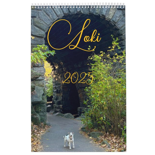 Loki 2025 kalender (Titelbild)