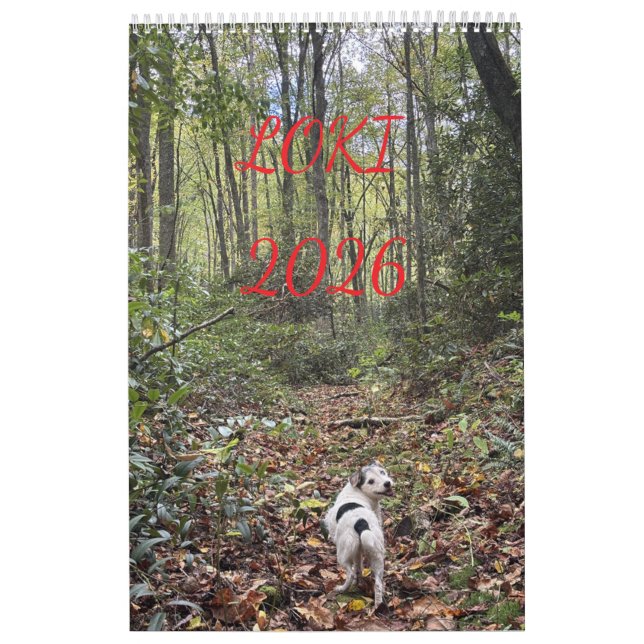 loki 2026 kalender (Titelbild)