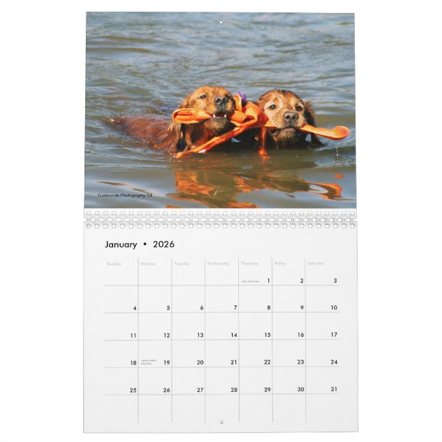 Loki Kalender (Jan 2026)