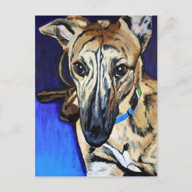 Loki - Lurcherhund Postkarte (Vorderseite)