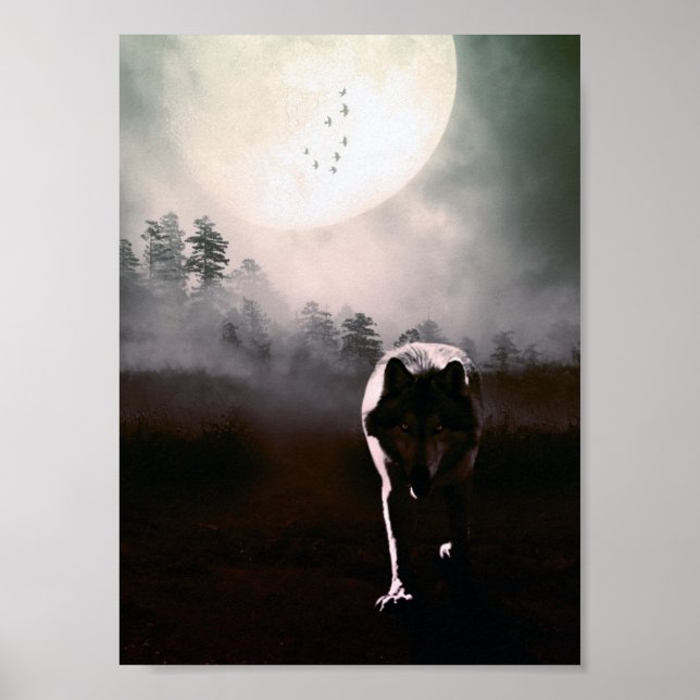 loki wolfdog 2 poster (Vorne)