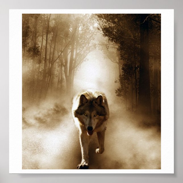 Loki Wolfdog Poster (Vorne)