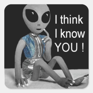 LOL - Auf adressierter Post oder neben einem Bild Quadratischer Aufkleber