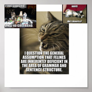 Lol-catzstreik-zurück, boo-did-i-skeerd-u_jpg_th… poster