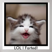 LOL I Farted!